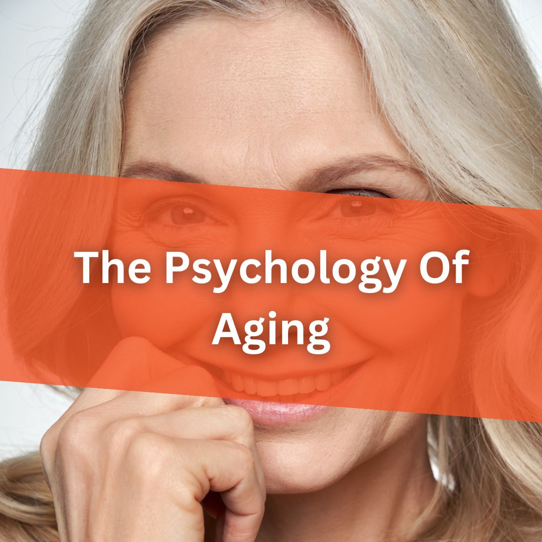 <a></a>The Psychology Of Aging