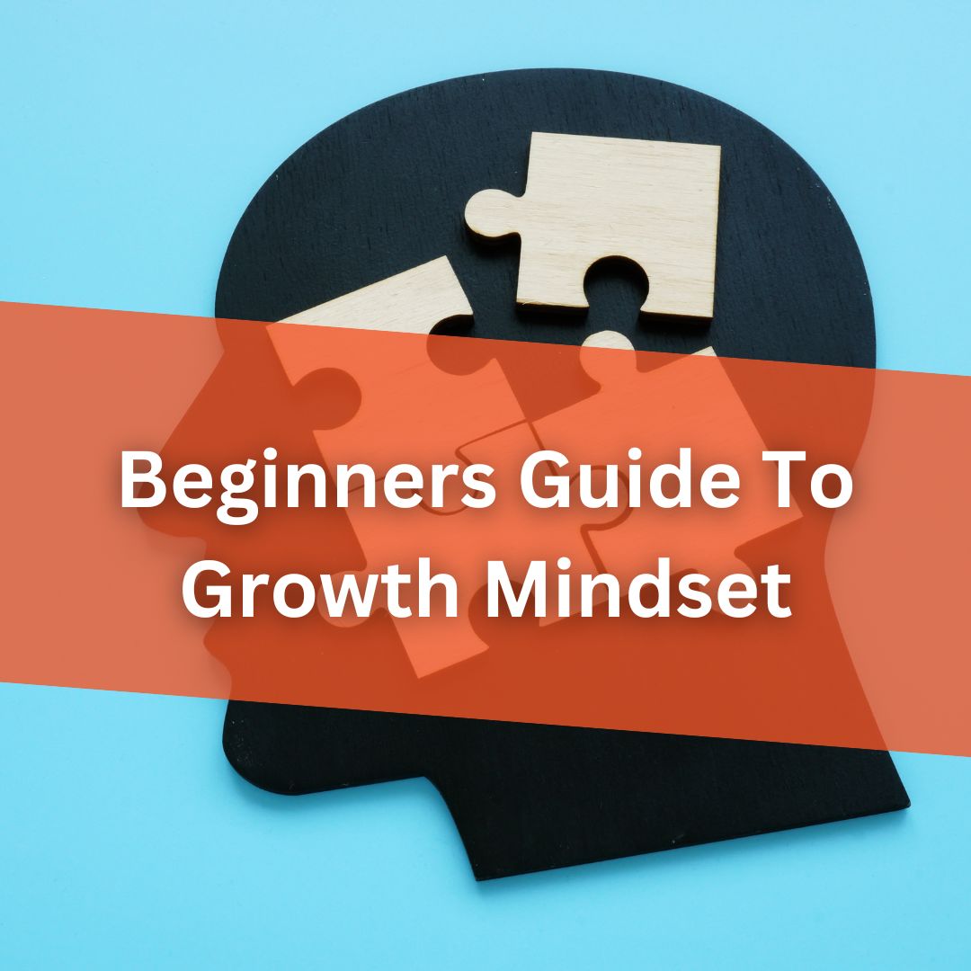 Beginners Guide To Growth Mindset